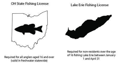 non resident fishing license ohio|OHIOFISHING REGULATIONS 20202021 .